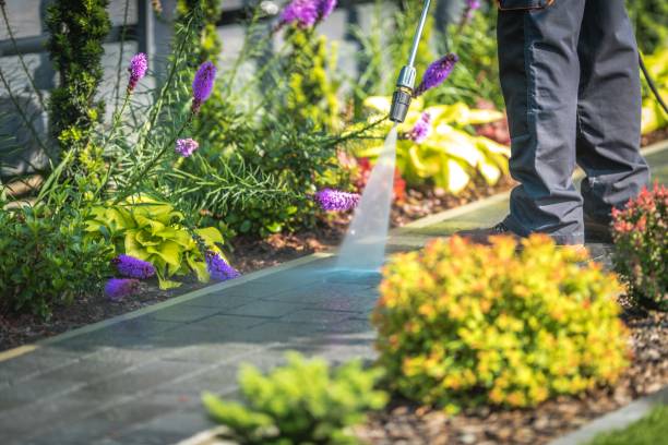Best Fence Cleaning  in Lampeter, PA